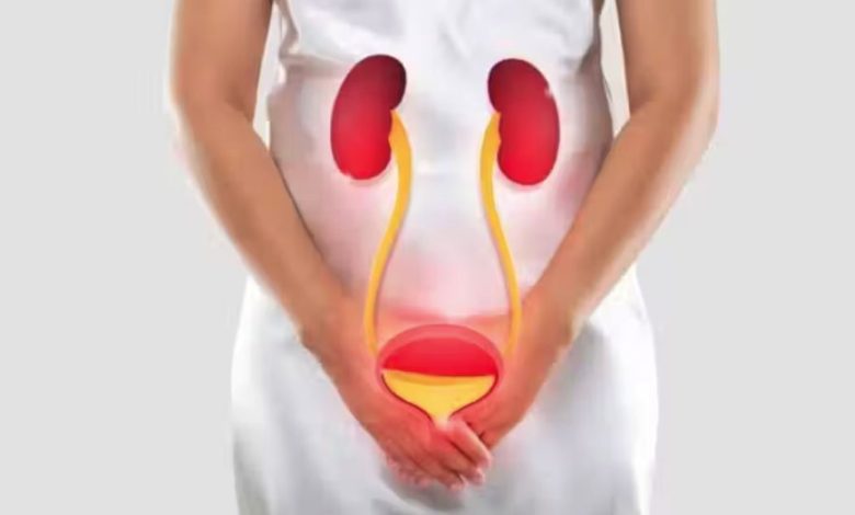 Studio Notícias | Studio TV Aprovado novo antibiótico oral para infecções urinárias recorrentes após 30 anos