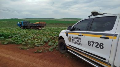 Studio Notícias | Studio TV BM prende dois homens por furto qualificado em propriedade rural em Muitos Capões