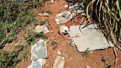 Studio Notícias | Studio TV Crânio humano é encontrado nas proximidades da Pedreira Fuchs em Passo Fundo