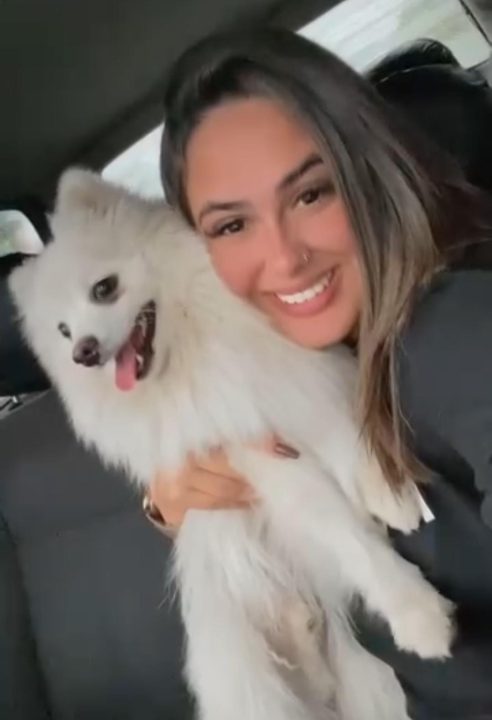 Homem é acusado de matar cachorro de ex-mulher a facadas após o término 1 Studio Notícias | Studio TV Homem é acusado de matar cachorro de ex-mulher a facadas após o término