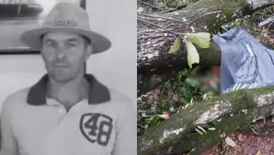 Studio Notícias | Studio TV Homem morre após ser atingido por árvore durante microexplosão em Palmitos, SC