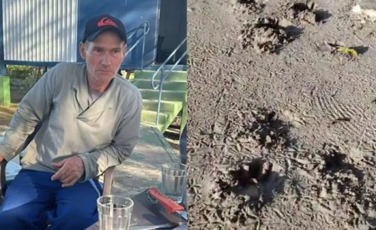 Onça-pintada é confirmada como responsável por ataque fatal a caseiro no Pantanal 1 Studio Notícias | Studio TV Onça-pintada é confirmada como responsável por ataque fatal a caseiro no Pantanal