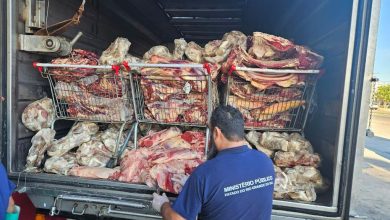 Studio Notícias | Studio TV Operação apreende 11 toneladas de alimentos impróprios para consumo no RS