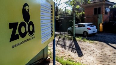 Studio Notícias | Studio TV Parque Zoológico de Sapucaia do Sul suspende visitação após mortes de aves