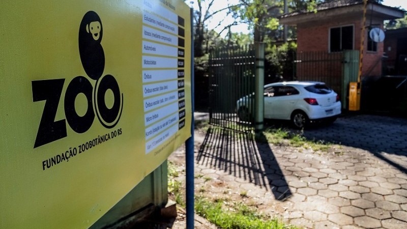 Parque Zoológico de Sapucaia do Sul suspende visitação após mortes de aves 1 Studio Notícias | Studio TV Parque Zoológico de Sapucaia do Sul suspende visitação após mortes de aves