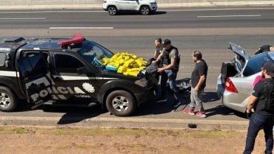 Studio Notícias | Studio TV Polícia Civil desarticula transporte de 105 kg de cocaína em Sapucaia do Sul