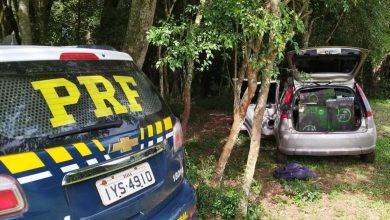 Studio Notícias | Studio TV PRF apreende mais de 11 mil maços de cigarros e prende contrabandista após perseguição em São Luiz Gonzaga