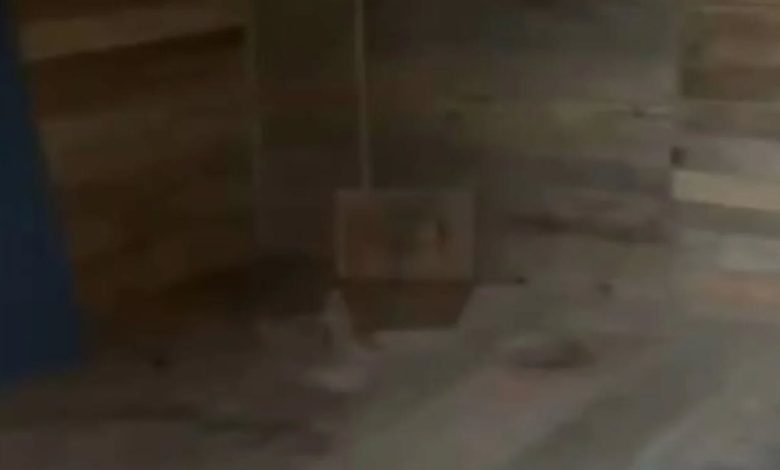 Studio Notícias | Studio TV Polícia Civil resgata mãe e filha de cativeiro em Canoas e prende sequestradores