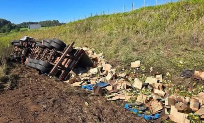 Studio Notícias | Studio TV Caminhão tomba na ERS-324 em Passo Fundo e carga de azeite é saqueada