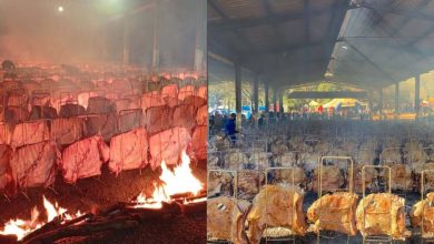 Studio Notícias | Studio TV Maior churrasco do Brasil impressiona com 18 toneladas de carne assadas em Cascavel