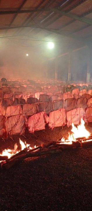 Maior churrasco do Brasil impressiona com 18 toneladas de carne assadas em Cascavel 2 Studio Notícias | Studio TV Maior churrasco do Brasil impressiona com 18 toneladas de carne assadas em Cascavel