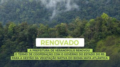 Studio Notícias | Studio TV Prefeitura de Veranópolis renova parceria com o Estado para proteger a vegetação nativa da Mata Atlântica