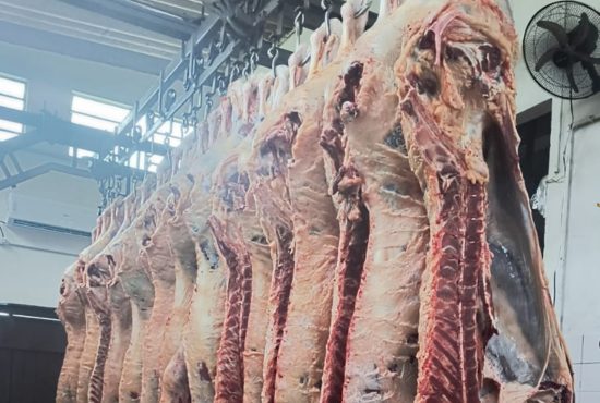 Abatedouro e agroindústria são interditados no RS por más condições sanitárias 1 Studio Notícias | Studio TV Abatedouro e agroindústria são interditados no RS por más condições sanitárias