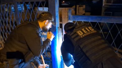 Studio Notícias | Studio TV Organização criminosa que revendia veículos clonados por meio de invasões a contas do GOV.BR é alvo da Operação Krypteia