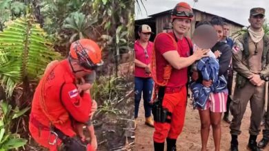 Studio Notícias | Studio TV Cachorros protegem menino desaparecido por 24 horas na mata no Amazonas