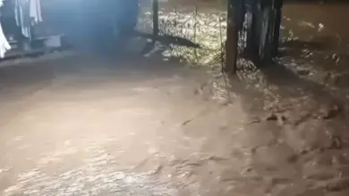 Studio Notícias | Studio TV Chuvas intensas causam caos e alagamentos em Santa Maria
