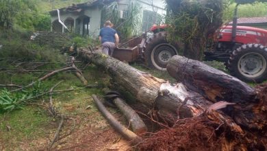 Studio Notícias | Studio TV Microexplosão no Oeste de SC causa mortes e destruição em várias cidades