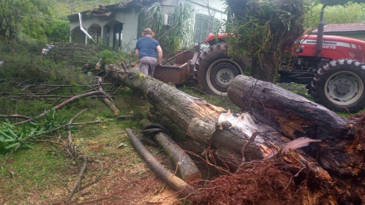 Microexplosão no Oeste de SC causa mortes e destruição em várias cidades 1 Studio Notícias | Studio TV Microexplosão no Oeste de SC causa mortes e destruição em várias cidades
