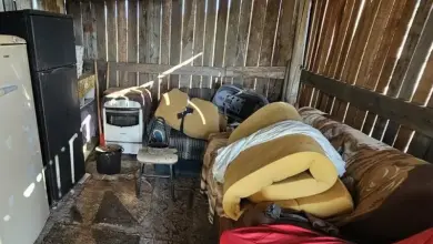 Studio Notícias | Studio TV Idoso resgatado de condições desumanas em assentamento rural no RS
