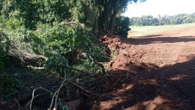 Studio Notícias | Studio TV Brigada Militar flagra desmatamento ilegal e apreende trator em Rio dos Índios