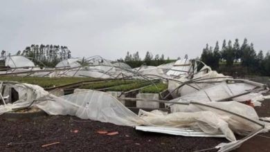 Studio Notícias | Studio TV Defesa Civil confirma ocorrência de tornado em Erval Grande