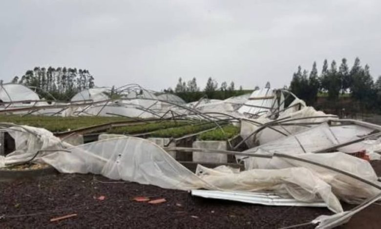 Studio Notícias | Studio TV Defesa Civil confirma ocorrência de tornado em Erval Grande