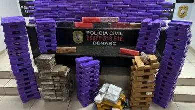Studio Notícias | Studio TV Polícia intercepta 348 kg de maconha em chácara utilizada como centro de distribuição em Novo Hamburgo