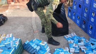 Studio Notícias | Studio TV Brigada Militar prende comerciante em Sobradinho por contrabando, posse irregular de armas e crime contra a fauna