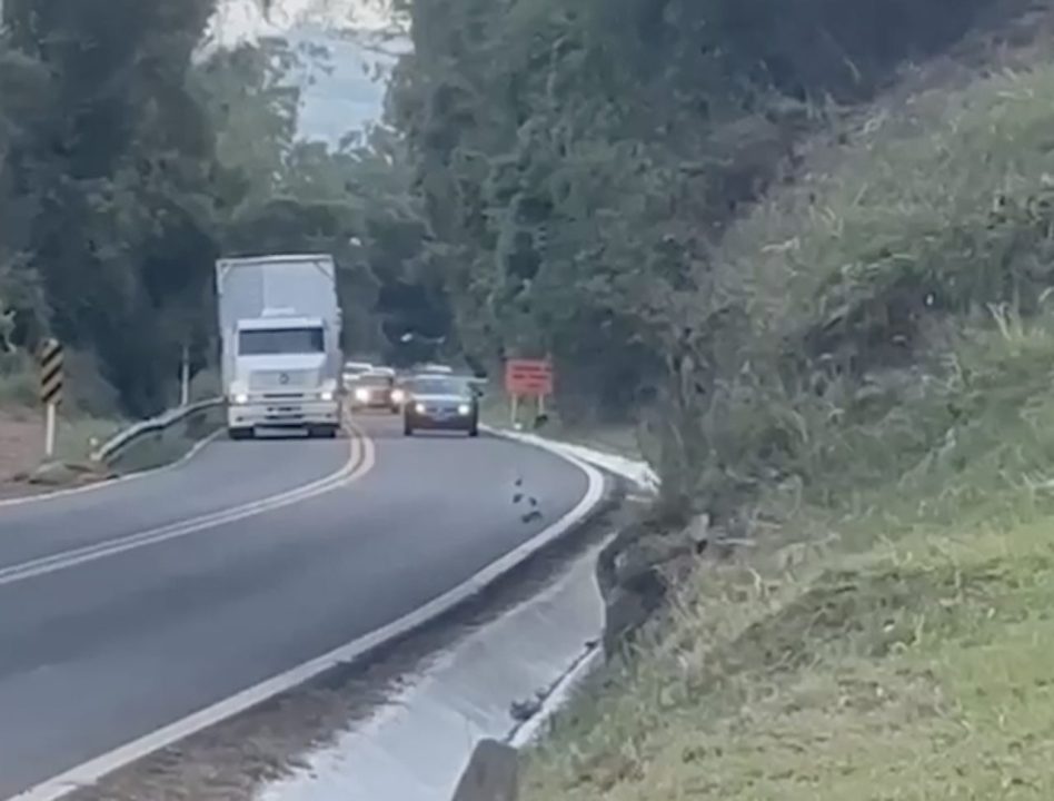 Studio Notícias | Studio TV PRF intensifica fiscalização de ultrapassagens indevidas na Serra das Antas