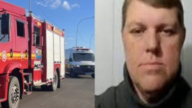 Studio Notícias | Studio TV Identificado homem que morreu após ataque de abelhas enquanto trabalhava às margens da Freeway