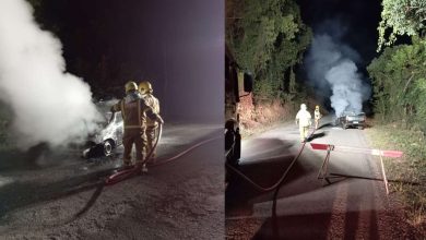 Studio Notícias | Studio TV Veículo pega fogo às margens de rodovia em Bento Gonçalves