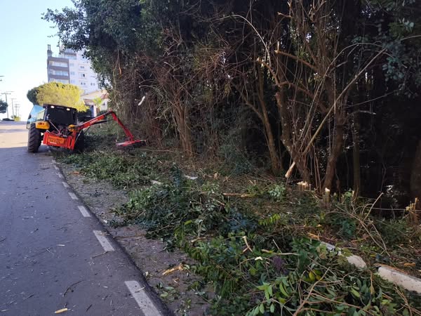 Roçada na Avenida Placidina de Araújo em Nova Prata 1 Studio Notícias | Studio TV Roçada na Avenida Placidina de Araújo em Nova Prata