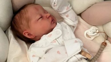 Studio Notícias | Studio TV Casal protagoniza disputa inusitada por “guarda” de bebê reborn
