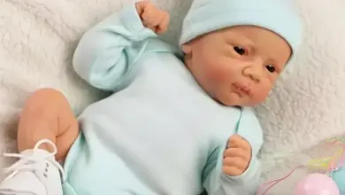 Studio Notícias | Studio TV Projeto propõe multa de até R$ 30 mil para quem usar bebês reborn para furar filas