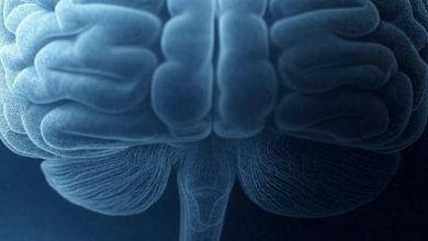 Studio Notícias | Studio TV SUS amplia tratamento para Alzheimer grave com donepezila