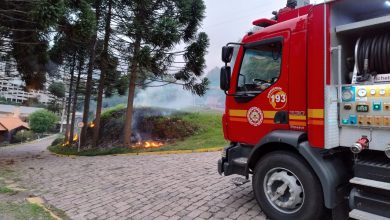 Studio Notícias | Studio TV Incêndio em vegetação mobiliza Corpo de Bombeiros em Bento Gonçalves