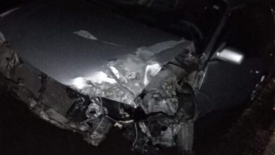 Studio Notícias | Studio TV Acidente na BR-285 em Caseiros deixa duas pessoas feridas após queda de árvore sobre a rodovia