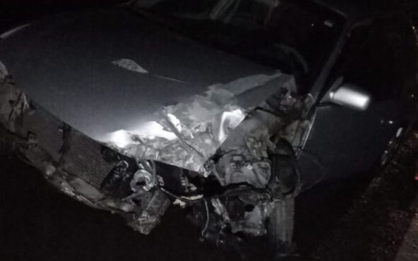 Acidente na BR-285 em Caseiros deixa duas pessoas feridas após queda de árvore sobre a rodovia 1 Studio Notícias | Studio TV Acidente na BR-285 em Caseiros deixa duas pessoas feridas após queda de árvore sobre a rodovia
