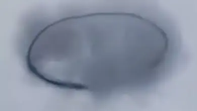 Studio Notícias | Studio TV Anel misterioso surge no céu de Caracas e causa alvoroço entre moradores
