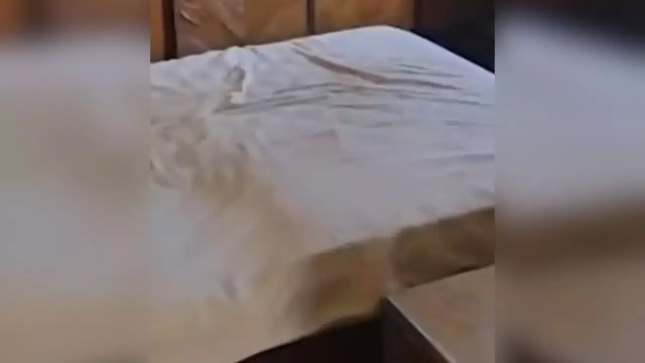 Studio Notícias | Studio TV Filhos são presos por manter corpo do pai em decomposição dentro de casa