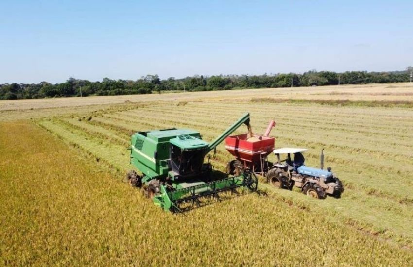 Colheita do arroz no RS chega a 97,96% e se aproxima da conclusão 1 Studio Notícias | Studio TV Colheita do arroz no RS chega a 97,96% e se aproxima da conclusão
