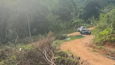 Studio Notícias | Studio TV Chacina brutal em Santa Catarina: Gaúchos são mortos e carbonizados em área deserta