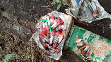Studio Notícias | Studio TV Resíduos com sangue e agulhas são encontrados em poço desativado em São José do Ouro