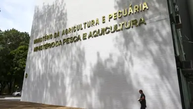 Studio Notícias | Studio TV Sete casos de doenças respiratórias em aves são investigados no país