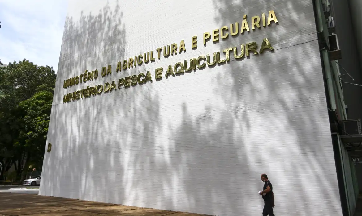 Studio Notícias | Studio TV Sete casos de doenças respiratórias em aves são investigados no país