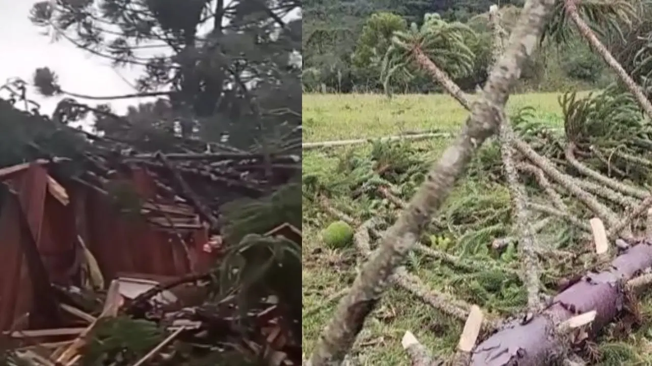 Meteorologista confirma tornado na Serra Catarinense após madrugada de tempo severo | Studio Notícias | Studio TV