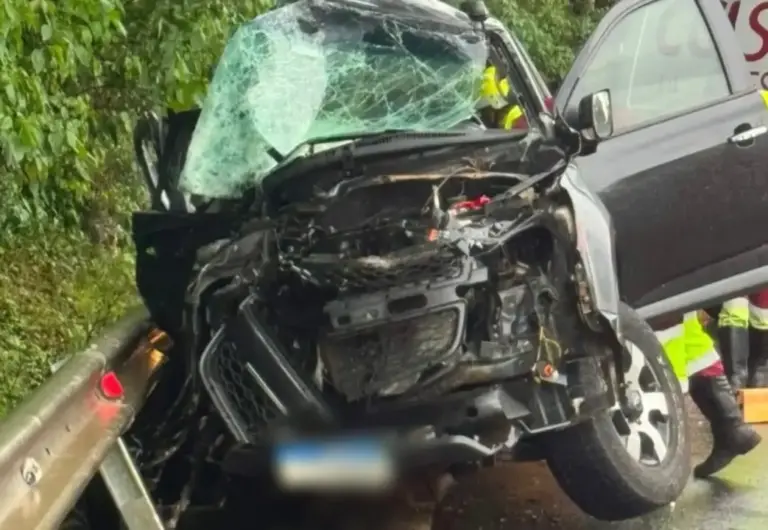 Acidente entre caminhonete e ônibus deixa dois mortos na BR-386, em Pouso Novo - Studio TV