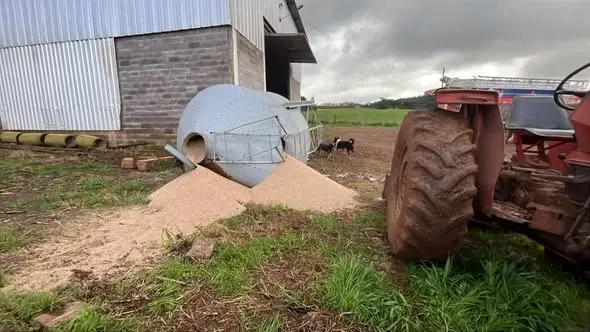 Agricultor é resgatado após desabamento de silo de ração na zona rural de Casca - Studio TV