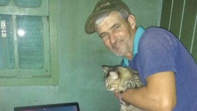 Agricultor morre após ser atingido por eucalipto em Boqueirão do Leão - Studio TV