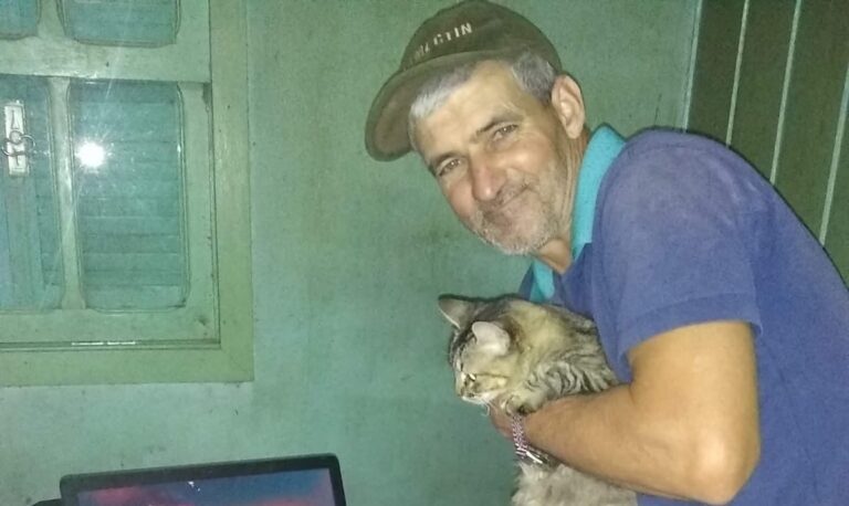 Agricultor morre após ser atingido por eucalipto em Boqueirão do Leão - Studio TV